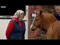 The Queen and her passion for horses