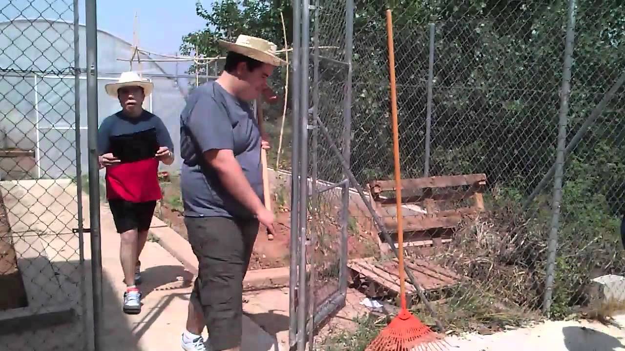 libdub tva 2012 pla de la mesquita