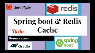 Spring boot redis in urdu