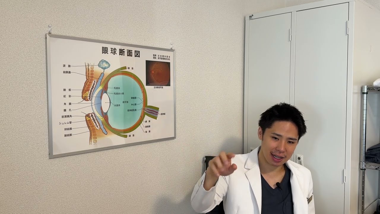 多焦点眼内レンズ「テクニスオデッセイ（TECNIS Odyssey）」