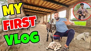 My First Vlog at the Goat Farm! | Starting my vlogging journey | Pure Village Vibe