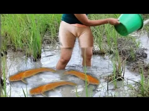Beautiful Village Girl Catching Fish Using Hand | Naked Girl