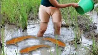 Beautiful Village Girl Catching Fish Using Hand | Naked Girl