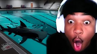 Janky Rondo Plays Sharks And Minnows  Game