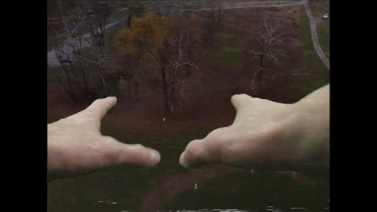 The first ever recorded dream youtube