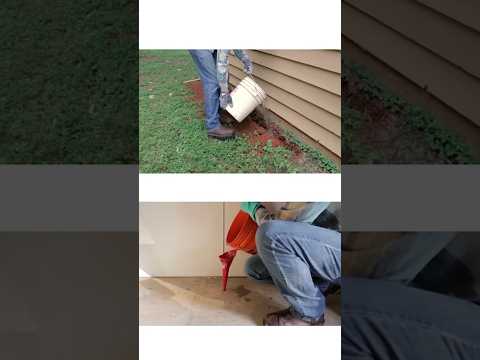 Video: Mikä on tehokkain termiittien torjunta?