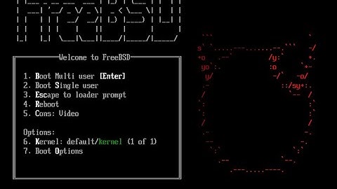 How to install FreeBSD in VirtualBox (UPDATED)