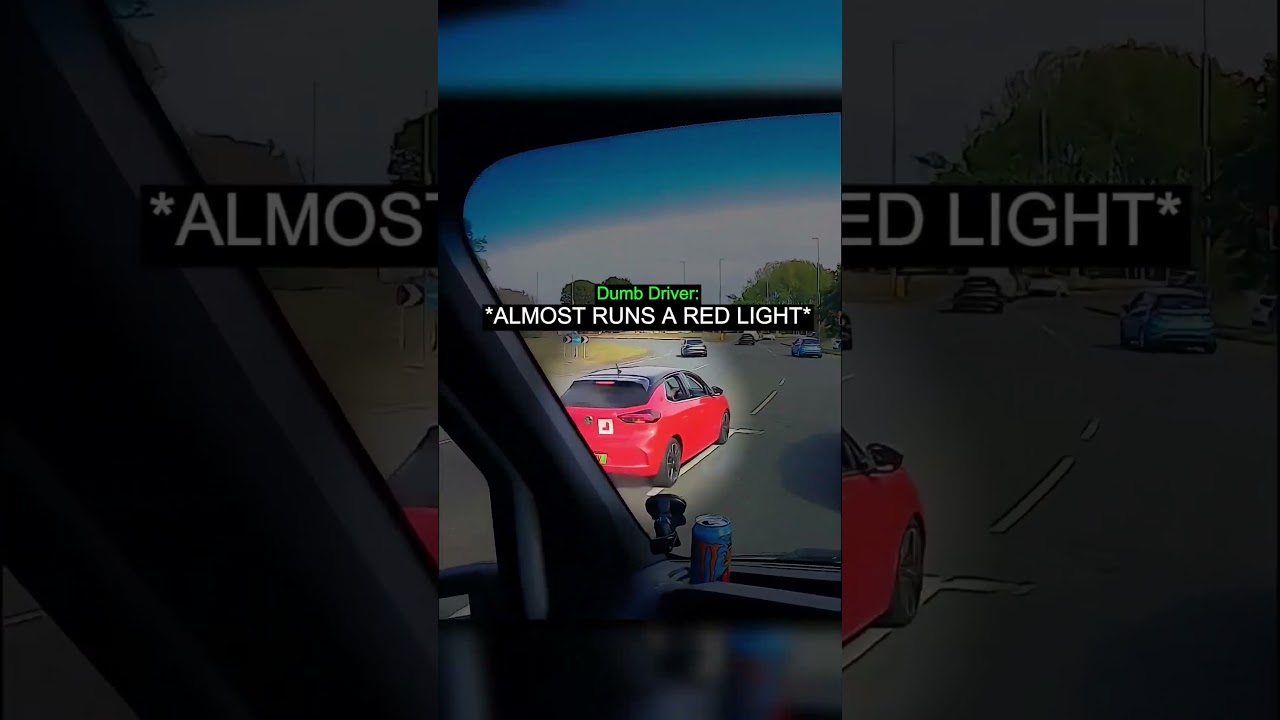 Driver Witnesses Absolute Chaos on the Road