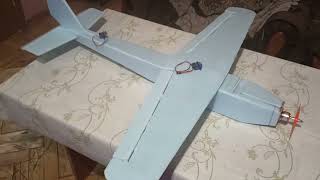 DIY RC Airplane LM19 trainer model with Blueprint PDF