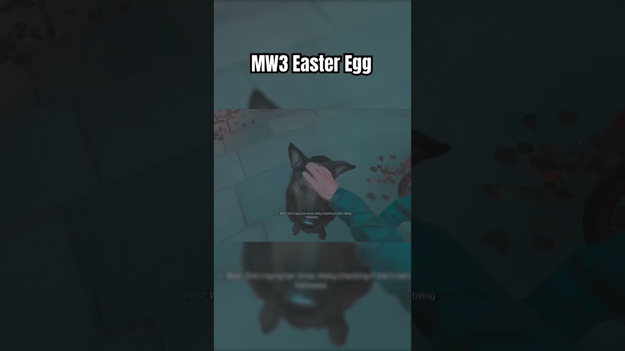 Do you know the Easter Egg?