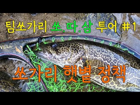 팀쏘가리 쏘.따.삼 투어 #1/ 쏘가리 햇볕 정책/ 따스한 햇살은 쏘가리도 춤추게 한다~
