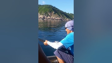 Câu cá Đà Nẵng