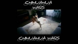 CHIHUAHUA WARS 😎
