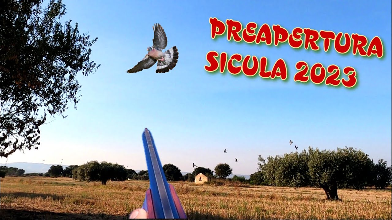Preapertura in Sicilia  2023-2024..Caccia alla Tortora e Colombaccio - Caza de Tortolas  e Palomas