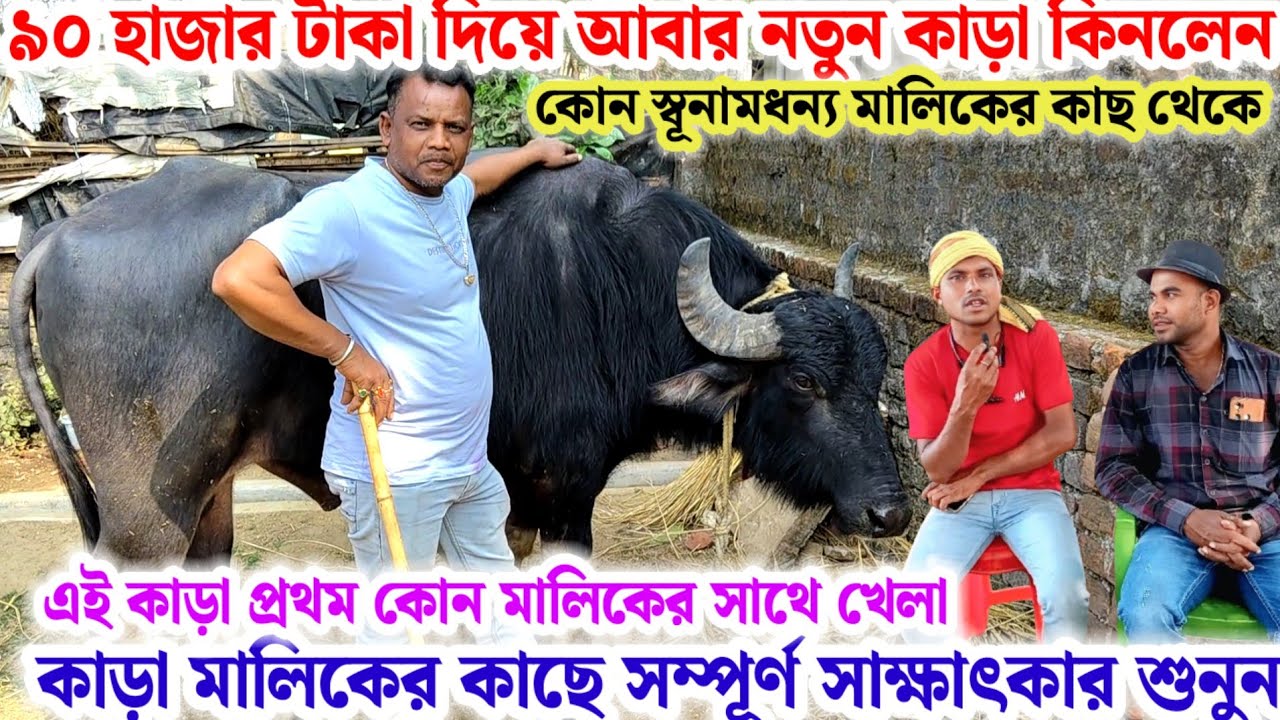 ৯০ হাজার টাকা দিয়ে🌼আবার নতুন কাড়া কিনলেন এই কাড়া কতোদিনে আসর🔥মালিকের কাছে সম্পূর্ণ সাক্ষাৎকার💢