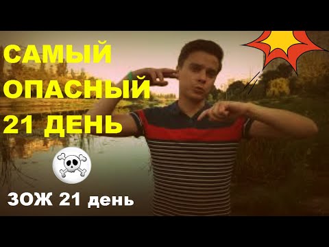 21 ДЕНЬ ОТКАЗА от бухла и сигарет - ЭТО БРЕД СОБАЧИЙ!