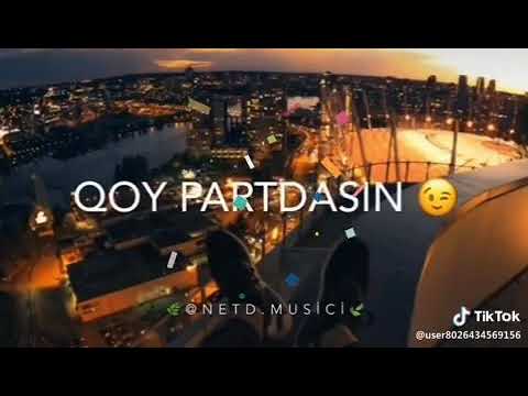 Qoy partdasın qoy partdasın