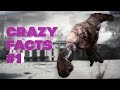 Crazy facts 1  left 4 dead 2