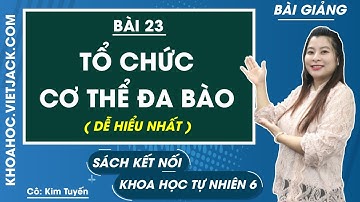 Tổ chức cơ thể đa bào | Khoa học tự nhiên 6 - Kết nối tri thức | Bài 23 (DỄ HIỂU NHẤT)