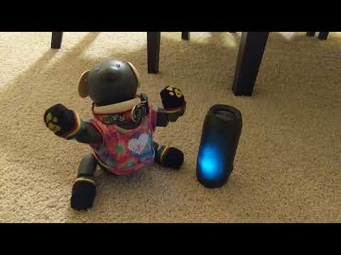 Gay Sony Aibo Dances to It's Raining Men!