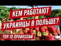 Кем работают иммигранты Польше? 10 востребованных профессий