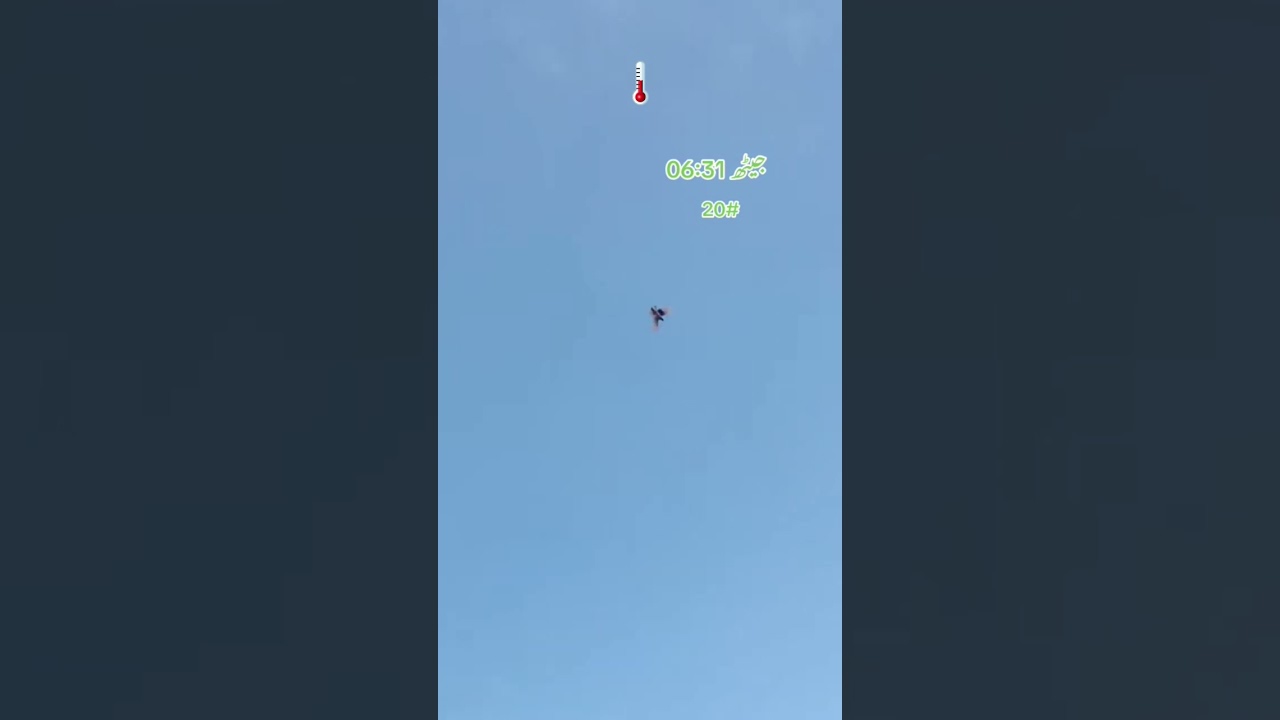 41 temperature pigeon landing