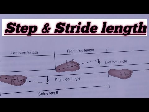 Step length, Stride length, Degree of toe out ||class project work||👍