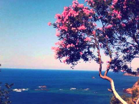 Cheb Aziz Staifi Duo Samir Sghir - Bahia Wa Mesrara ♥