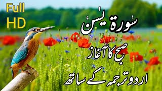 Qari Sudais Surah Yaseen   سورة يس   Qari Abdul Rahman al Sudais #awaisstudioTv screenshot 4