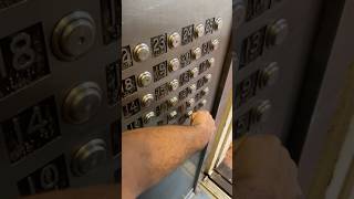 NYCHA Fulton high,rise House’s riding elevator(C)25th floor L building 420 W.19th St