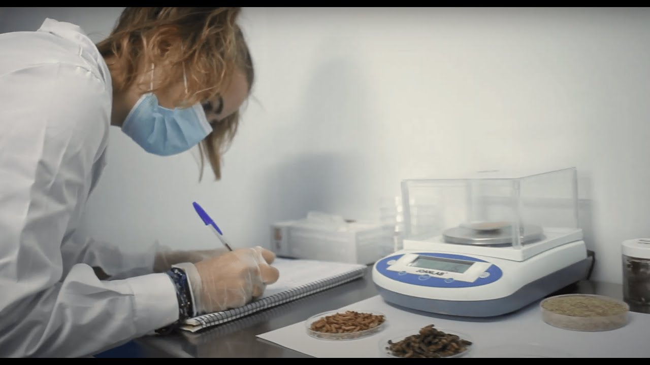 Insekt Label Biotech presentacion - YouTube