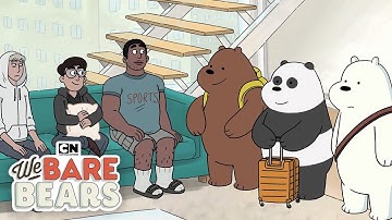 The Bears
