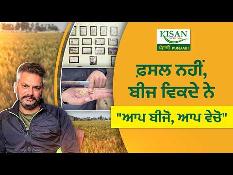 Farmer ਦੀ crop ਨਹੀਂ ਜਾਂਦੀ market, ਖੇਤਾਂ ਵਿੱਚ ਕਰਦਾ ਹੈ ਬੀਜਾਂ ਦਾ ਕਾਰੋਬਾਰ