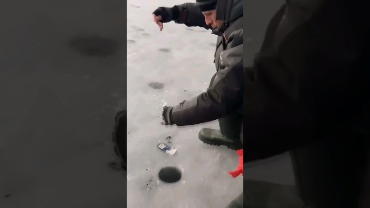 Рибалка на гирлянду. Затока Сосни ч. 9 