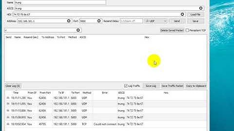 send udp packet data gram