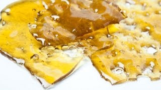 Knottyy's Purple Nepal x White Urkle Shatter BHO Video