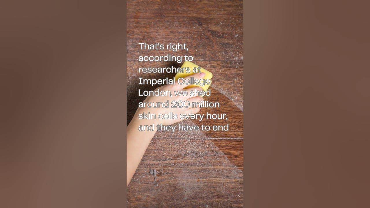 Do you know where dust comes from? YouTube