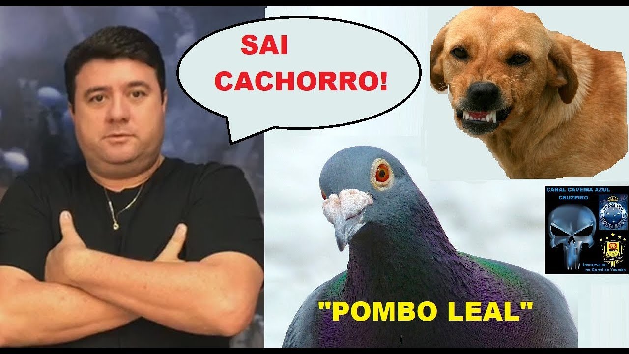 ADROALDO LEAL em: 