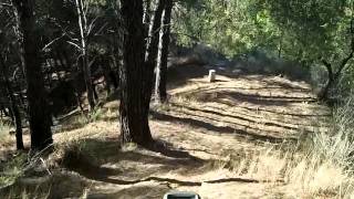 20140613 endurotrainning 3