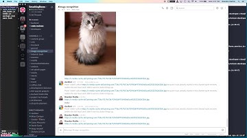 Build an Image-Recognition Slack Bot in Node.js with Watson