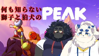 【PEAK】何も知らない獅子と狛犬の PEAK【ケモノVtuber】
