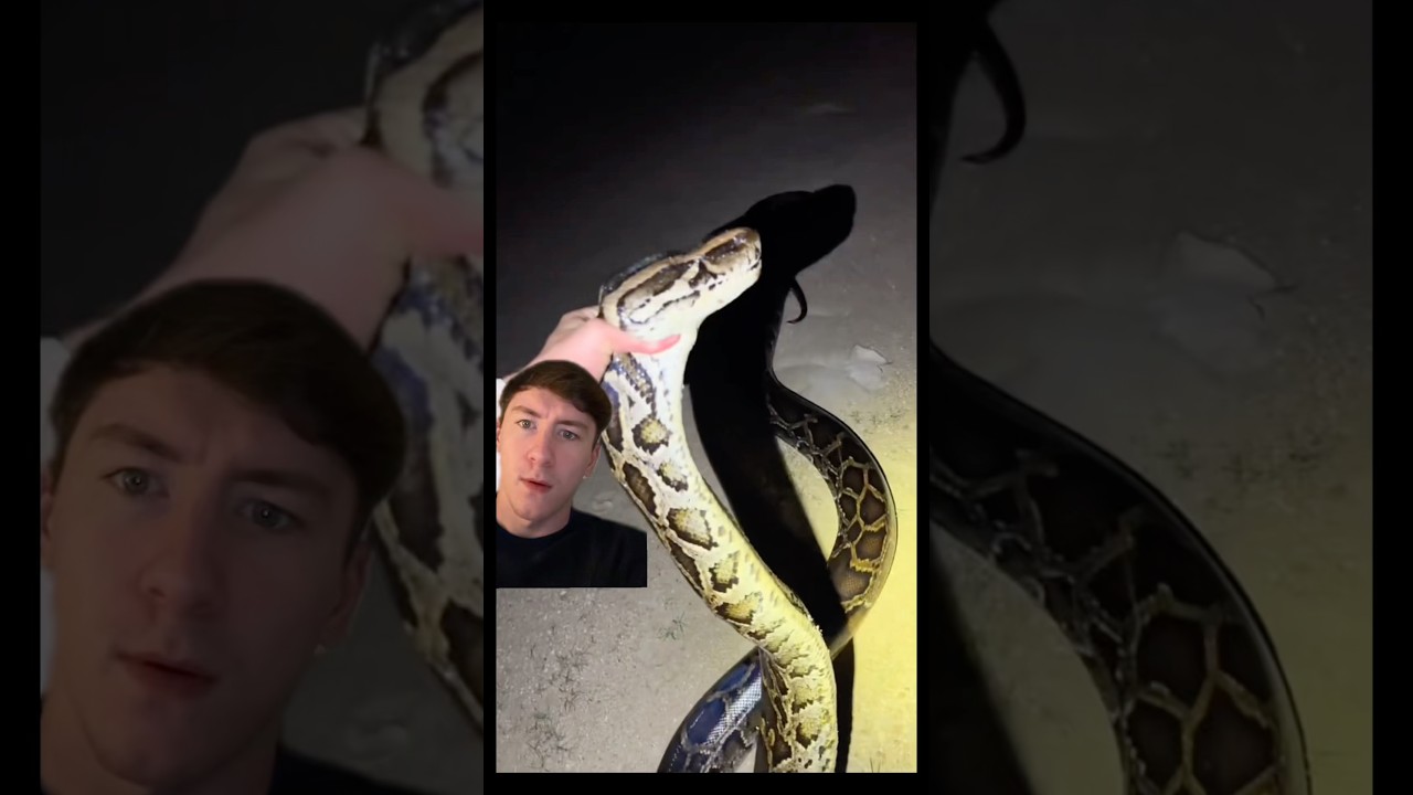 No way he did that… 