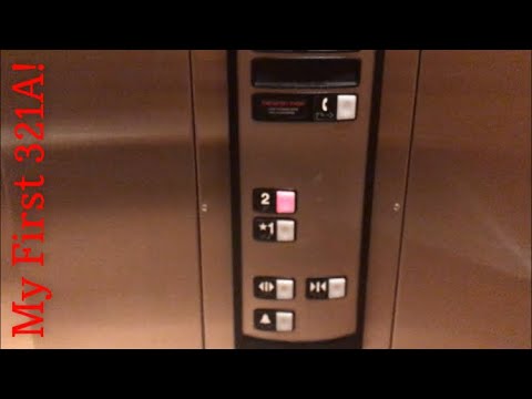 FLAWLESS 2000 Schindler 321A HT Hydraulic Elevator at Crate & Barrel ...