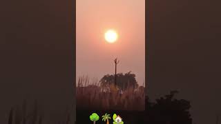 “Nature at its best 🌿”#naturelovers #nature#music #shorts#reels #field#sunset