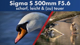 Tele-Objektiv der anderen Art | Sigma 500 mm f/5.6 DG DN OS Sports im Test [Deutsch]