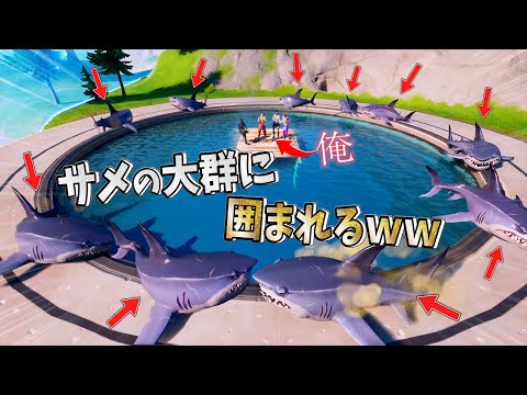全てのサメを『秘密の場所』に集めたらヤバイ現象が起きたwww【フォートナイト】