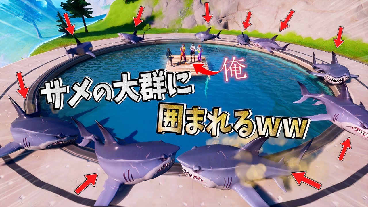 When all the sharks were gathered in a 