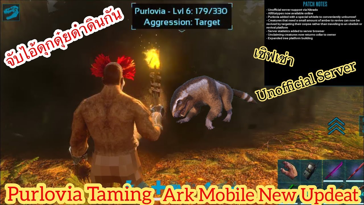 วิธีสร้างเซิฟ ark  2022  ARK Mobile มือถือ EP51 จับตัวตุ่นและวิธีสร้างเซิฟเล่นกับเพื่อน [Purlovia Taming Ark New Update]