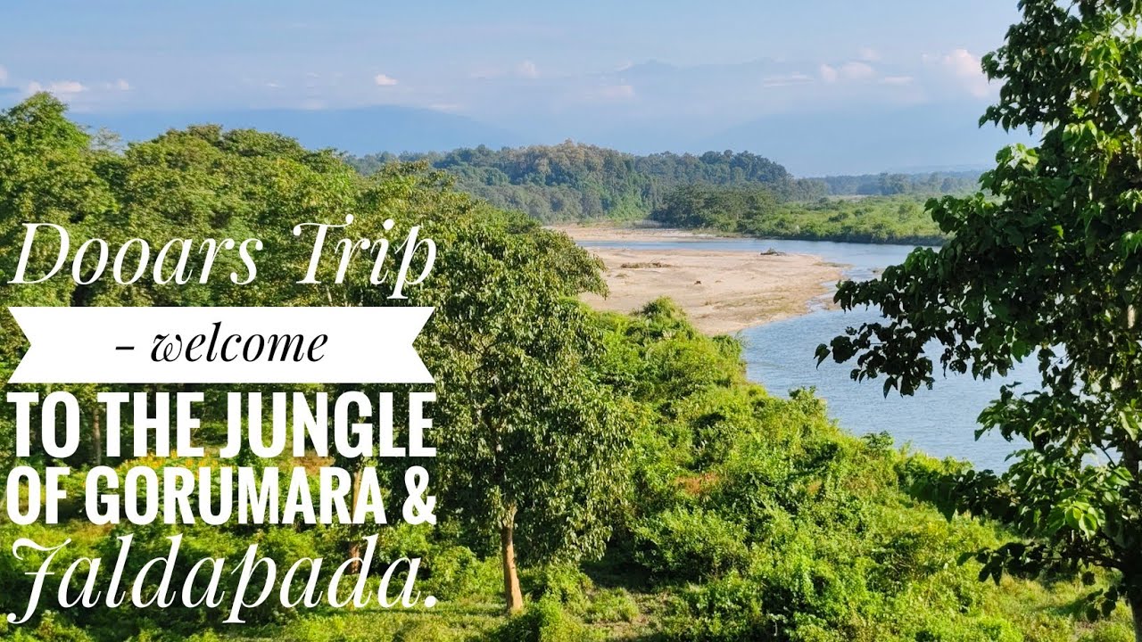 Dooars Trip 🦏 🐘 🦚| Gorumara | Jaldapara | North Bengal Trip | Jungle Safari | Budget,Food &Stay|