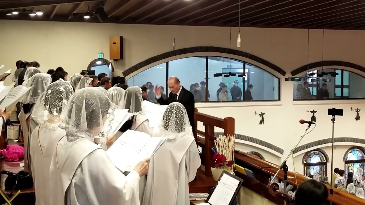 Gloria 글로리아 하이든 브레비스 미사곡Missa brevis No7 수성성당Gaudium et Spes성가대 지휘 김양수, Vn 김수지 Vc 김문영 Org 이현지